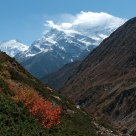 Annapurna Autumn III